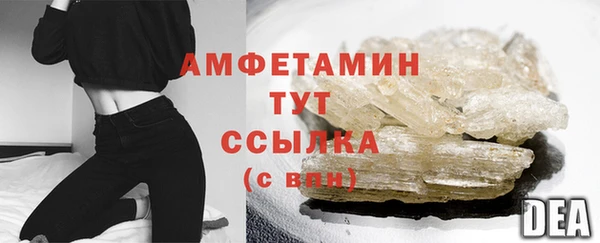 индика Осинники