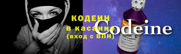 индика Осинники