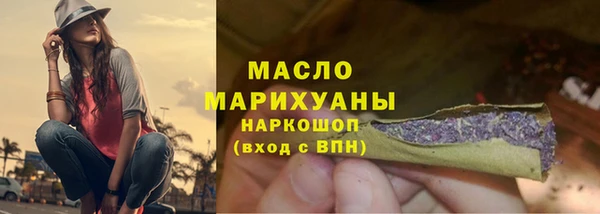 индика Осинники