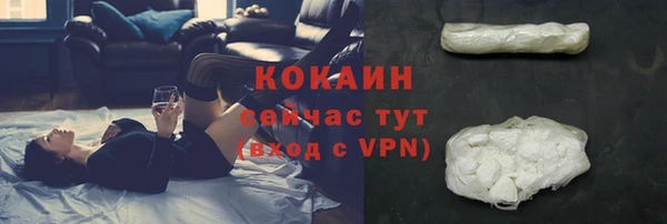 индика Осинники