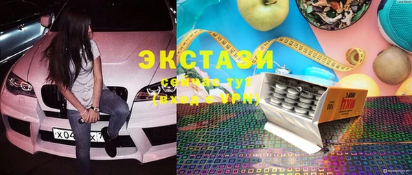 индика Осинники