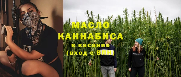 индика Осинники