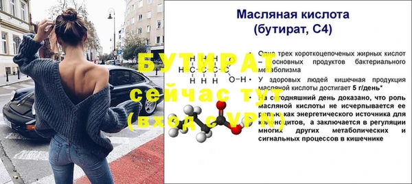 индика Осинники