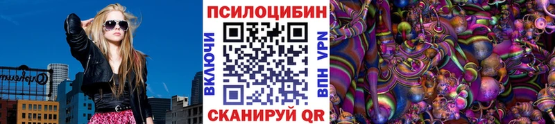 Псилоцибиновые грибы Cubensis  Суоярви 